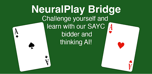 Bridge by NeuralPlay MOD APK (Premium Unlocked)